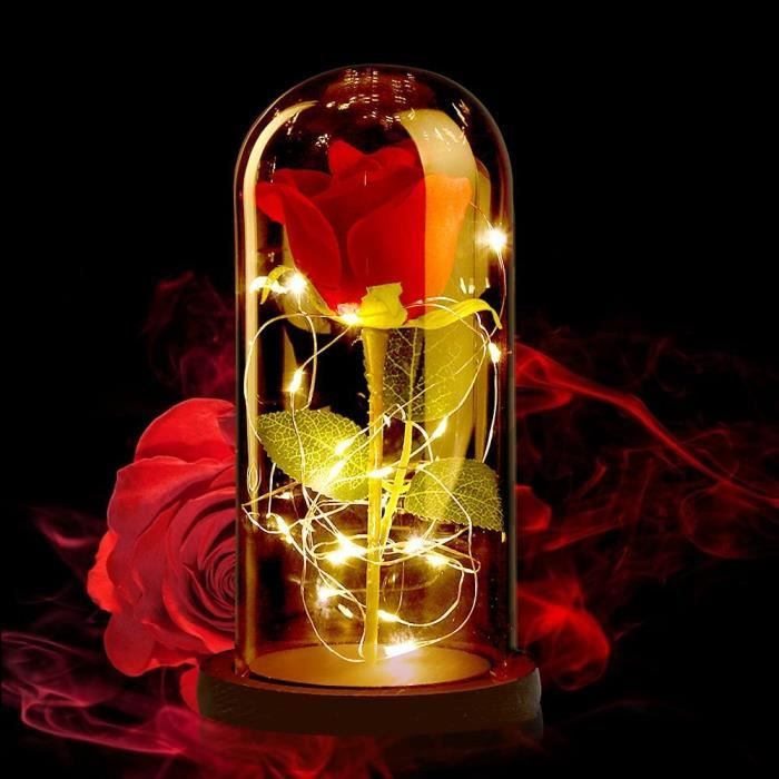 Rose Éternelle Sous Cloche Avec Lumières LED - Cadeau Fête Des Mères Saint-Valentin Anniversaire