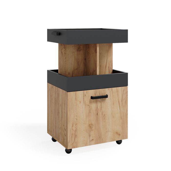 Caisson à roulettes 50x88.6cm Chêne de force doré Vicco 37510