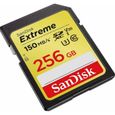 Carte mémoire flash - SANDISK -  - 256GB -  -  (SDSDXV5-256G-GNCIN)-1