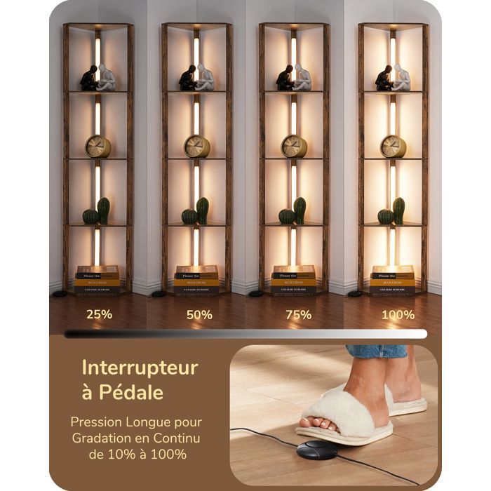 Lampadaire Sur Pied Edishine 3 Lampes Réglables - Interrupteurs Individuels | 163 Cm Noir | Ampoules LED Incluses Lampadaire 3 Lampes Noir