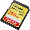 Carte mémoire flash - SANDISK -  - 256GB -  -  (SDSDXV5-256G-GNCIN)-2