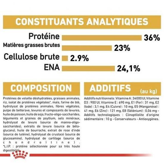 Royal Canin Maine Coon Kitten Pour Chaton 4 Kg Achat Vente Croquettes Royal Canin Maine Coon Kitt Cdiscount