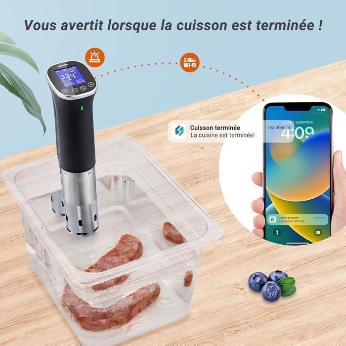 Cuiseur Sous Vide TEEUCNY 1100W - Précision 0.1°C, Ecran LCD, Inox Pour Cuisine Healthy