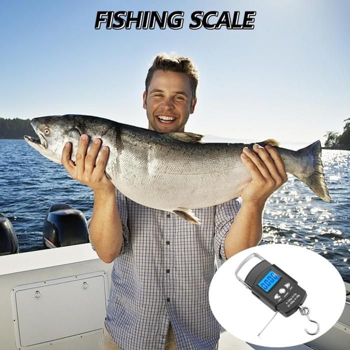 Balance De Pêche Rhorawill 150 Kg – Écran LCD Rétroéclairé, Crochet Amovible, 3 Unités (kg, Lb, Jin), Tare, Verrouillage Des Données
