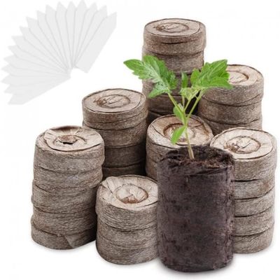 10pcs Pots de plantes en plastique Germination de jardin Pots de fleurs  épais avec soucoupes