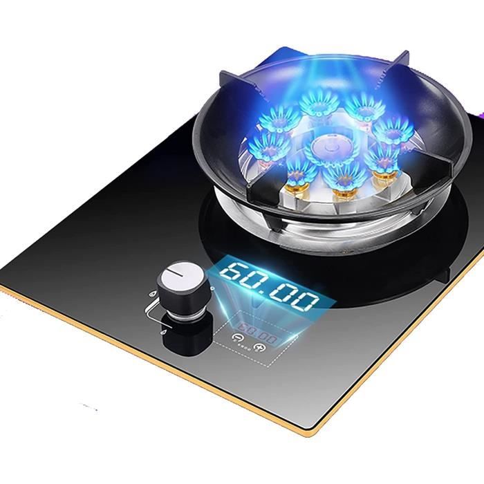 Plaque de Cuisson Gaz Table de Cuisson à gaz Plaque de Cuisson à gaz en