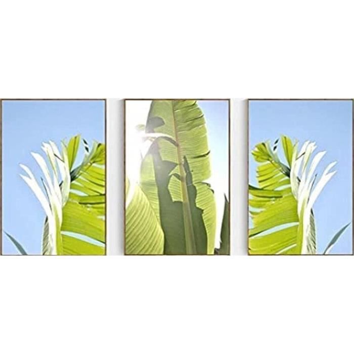 3 Pièces Moderne Vert Plantes Tropicales Affiche Impression Toile Peinture Mur Art Salon Chambre
