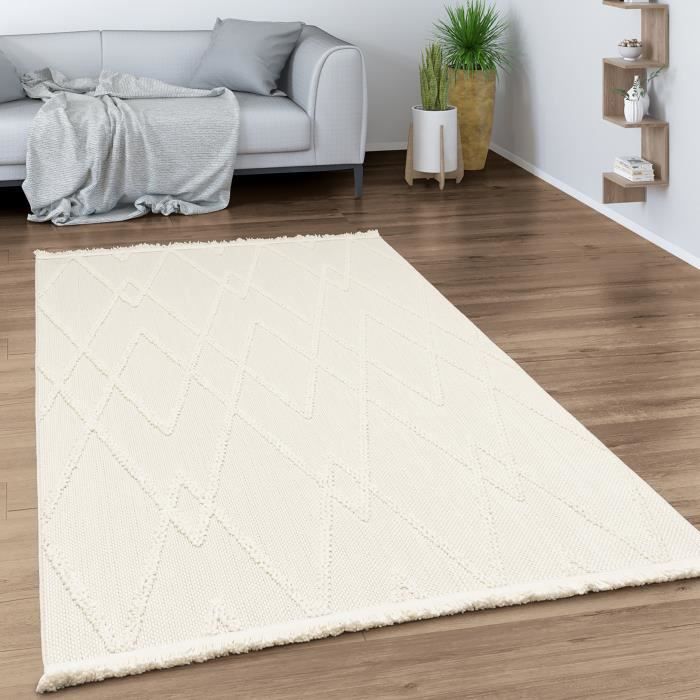 Paco Home Tapis Salon Avec Motif Losanges Scandinave Moderne Poils Ras