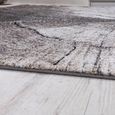 Tapis Design Élégant Salon Tronc D’Arbre Effet D’Optique Nature Gris Brun Beige  [80x150 cm]-1