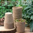 ZALEONLINE 100 pcs Pot Semi Godet pour Semis en Fibre Biodégradable de 6 cm avec 50 Étiquettes-1