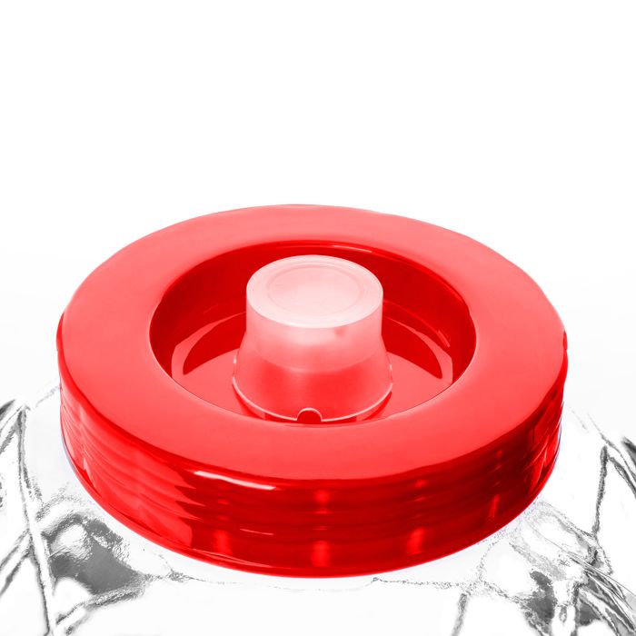 Bocal En Verre 5 Litres Avec Couvercle à Visser - Parfait Pour Conserves, Concombres, Choucroute !