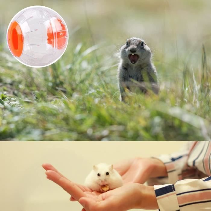 Palla Da Esercizio Per Criceti - 2 Pezzi Trasparenti, Giocattolo Da Corsa