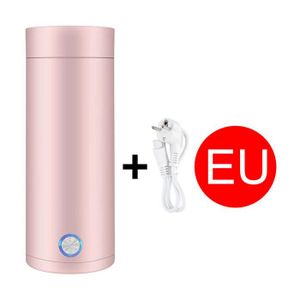 Bouilloire électrique Portable Voyage 450 Ml, Inox, ébullition Rapide, Mini Thermos
