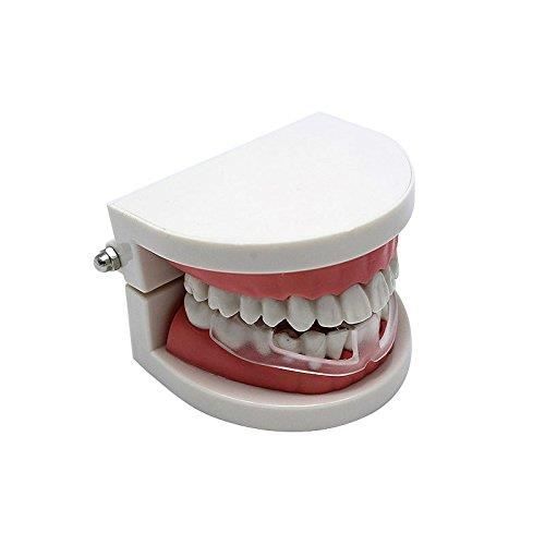 Gouttière Dentaire Anti-Bruxisme Protège-dents Anti-grincement de Dents  Anti Ronflement Orthèse Contre l'Apnée du Sommeil - Cdiscount Au quotidien