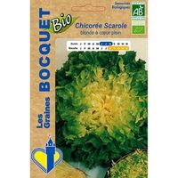 Sachet de  Chicorée Scarole blonde à coeur plein Bio- certifiée ECOCERT FR-BIO-01 - 3 g - légume feuille - LES GRAINES BOCQUET