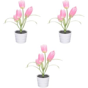 APPLIQUE EXTÉRIEURE Applique Extérieure - Lumières Solaires De Jardin - Fleur de Tulipe - Rosex3pcs