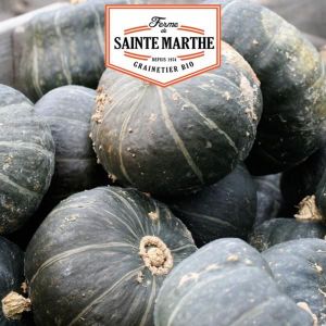 GRAINE - SEMENCE La ferme Sainte Marthe - 15 graines Potiron Doux V