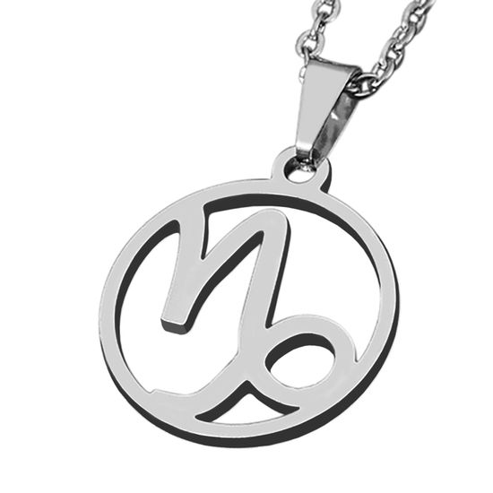 Collier Pendentif Zodiaque Lion Pour Homme – Chaîne 51 Cm En Acier Argenté – Neuf Sous Emballage, Marque Zense