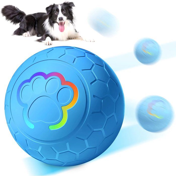 Balle interactive pour chien - DEMA - Balle Chuckit - Résistante aux morsures - Rebondissante électrique