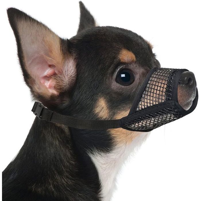 Muselière en maille respirante pour chien adaptée aux petits chiens Chihuahuas permet de respirer et de boire de leau XS