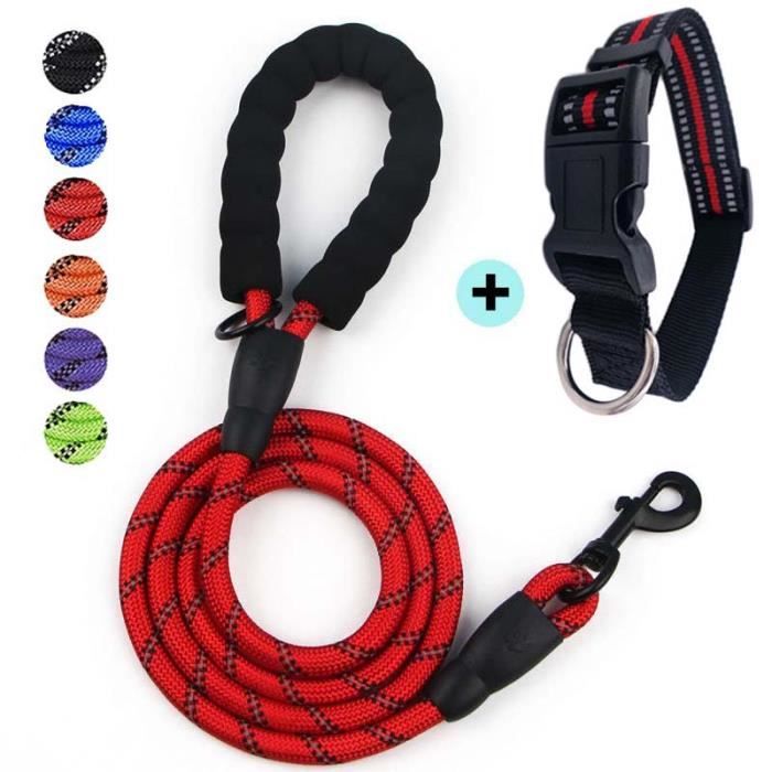Laisse ceinture avec crochet pour ceinture de sécurité auto - Protection  animaux (Rouge) - Cdiscount