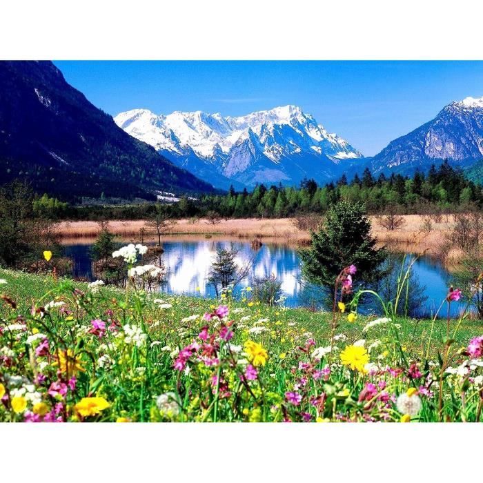 Puzzle 1000 Pièces Ravensburger - Puzzle Adulte - - Beautés Fleuriesu200b - Adultes Et Enfants à Partir De 14 Ans - Puzzle De Qualité Supérieure - Nature & Fleurs - 12000632 Puzzle Van Gogh