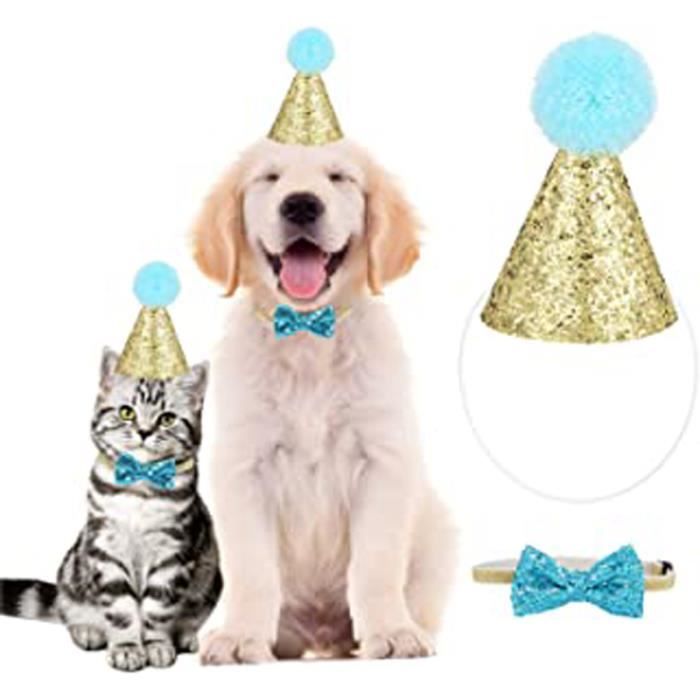 Animal De Compagnie Chat Chien Hat D Anniversaire Chiot Mignon Chapeau De Fete Bowknot Chien Decoration Chapeau Avec Corde De Cdiscount