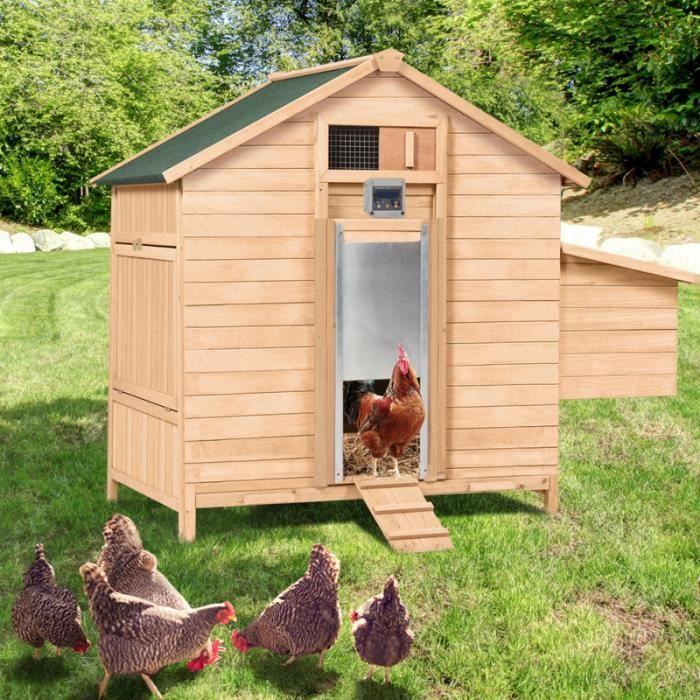 Poulailler 10 poules