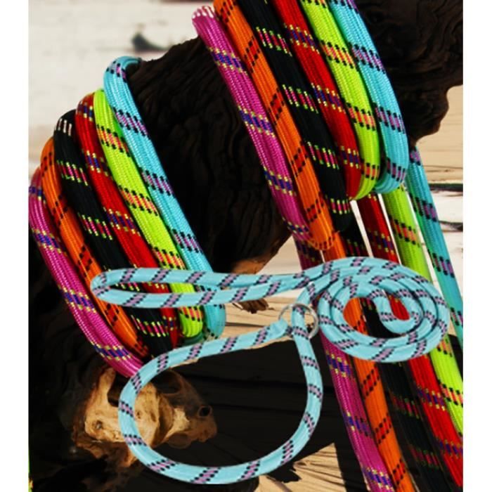 Meilleurs prix pour Laisse Nylon Corde Lasso Pour Chien 1.80M Rouge