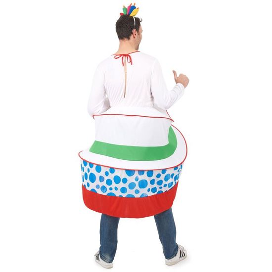Deguisement Gateau D Anniversaire Homme Cdiscount Maison
