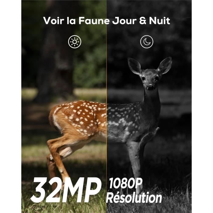 IZEEKER Caméra De Chasse, 32MP HD Caméra Chasse Avec 940nm IR LED No Glow Invisible Camera De Chasse Nocturne Ip66 Etanche Pour Observer La Faune Et Surveiller La Securite A Linterieur
