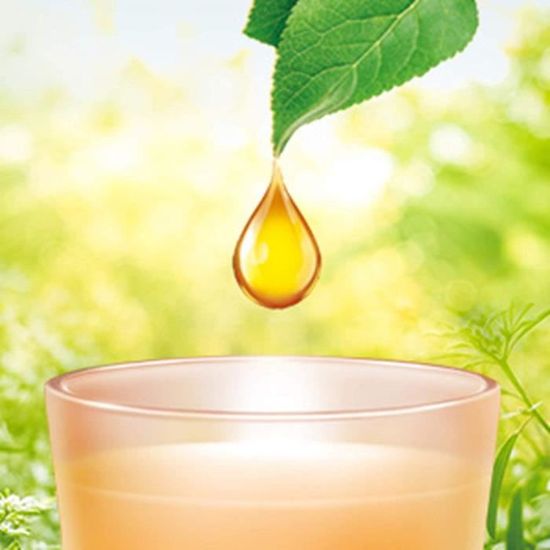 AIR WICK – Lot De 2 Bougies Parfumées Anti-tabac Aux Huiles Essentielles – Élimine Les Odeurs Et Parfume La Maison