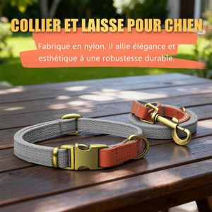 Pendentif Collier Teckel En Inox Argenté - Chaîne 50 Cm - Style Chasse/Animalier