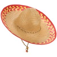 Chapeau mexicain adulte - Accessoire de déguisement - Rose - Pour Carnaval ou soirée à thème Mexique