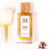 DIVAIN-565 Parfum Pour Femme 100 ml
