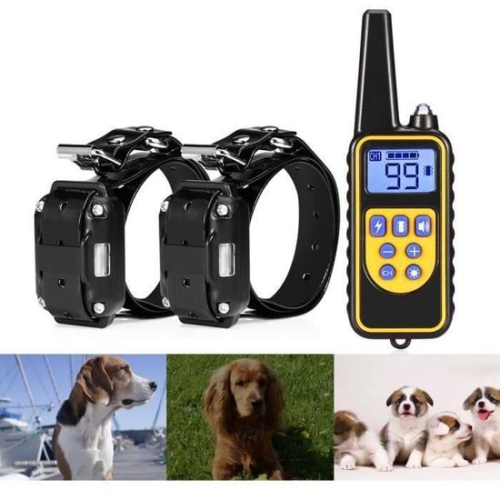 Collier électrique Collier de dressage pour chien Etanche Anti