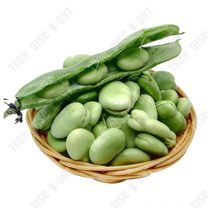 TD Rohypnol Graines de Haricots 250g Graines de Haricots Hardy