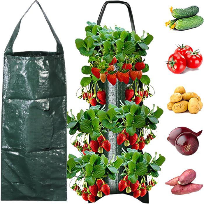 Sac De Plantation 3 Pièces Pour Fraises Et Tomates - 10 Trous, Bonne Respirabilité, Poignées - 25.1 X 58 Cm