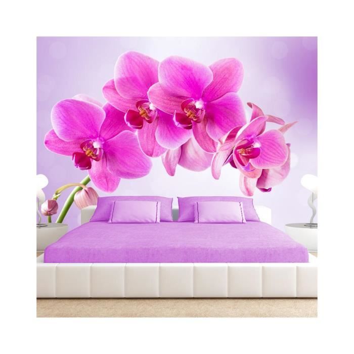 Фотообои. Спальня Орхидея. Орхидеи фон. Орхидея Энергетика. Орхидеи нельзя держать дома