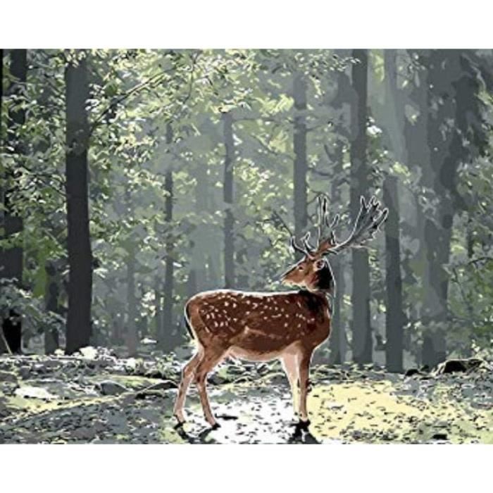 Peinture Par Numéro Adulte Fleur D'Oiseau Diy Pré-Imprimé Toile Peinture À L'Huile Cadeaux Pour Peinture Par Numéro Adulte Fleur D'Oiseau Diy Pré-Imprimé Toile Peinture À L'Huile Cadeaux Pour