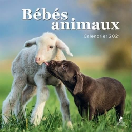 Calendrier Bebe 21 Cdiscount
