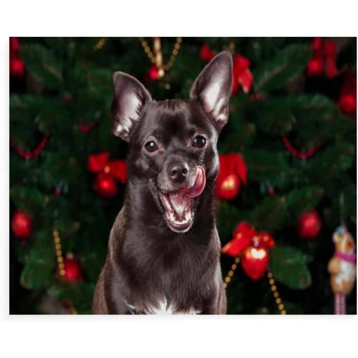 Diamond Painting Chien, 5D Diamond Painting Adulte Fleur, DIY Activité