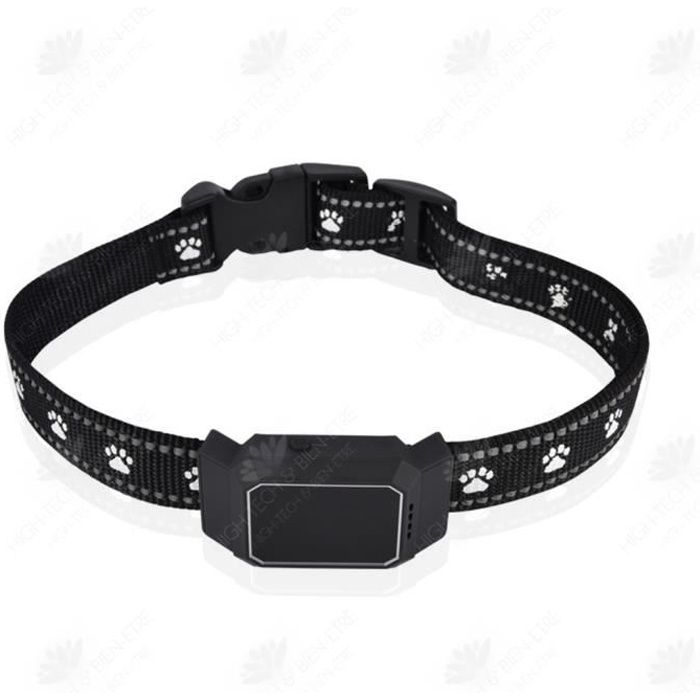 D35 pet tracker top