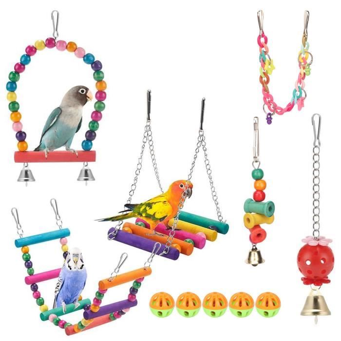 Jouet perroquet discount