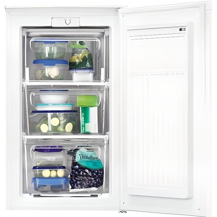 Congelateur Zanussi Zfg 06400wa Achat Vente Congelateur Porte
