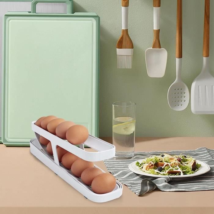 Distributeur Oeufs Réfrigérateur Range-œufs Frigo 2 Niveaux