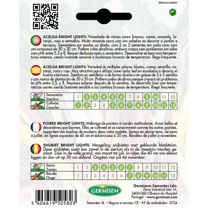Graines Betteraves Rondes Mélange HULLAHUP - 4 Variétés Colorées