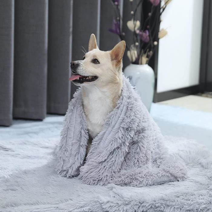 Couverture polaire pour chien online