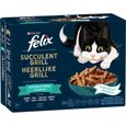 FELIX Succulent Grill au Saumon, au Thon, au Cabillaud, au Carrelet en Sauce - 12 x 80 g - Pochons pour chats adultes-0