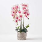 HOMESCAPES Orchidée artificielle rose en pot en ciment naturel 64 cm